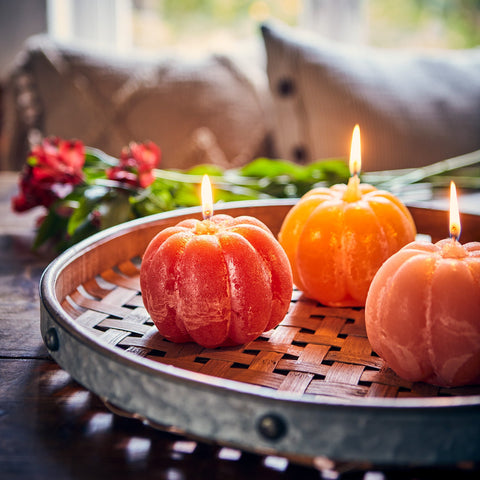 Season of Change: Autumn Must-Haves & Cozy Living Tips
