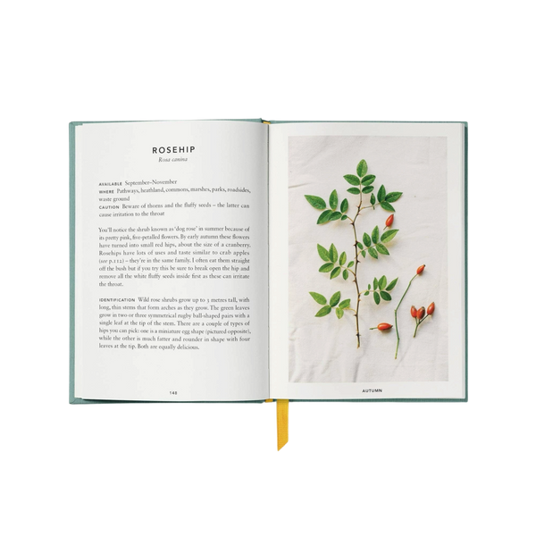 'The Urban Forager: Find and Cook Wild Food in the City' Book