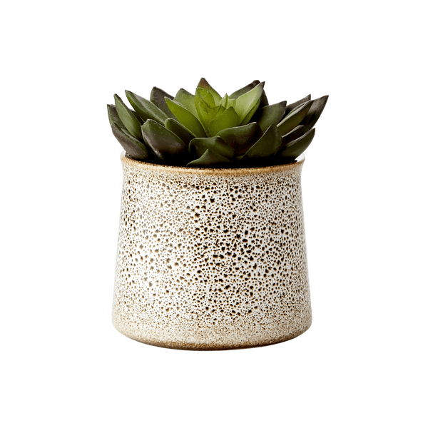 Light Brown Lava Plant Pot