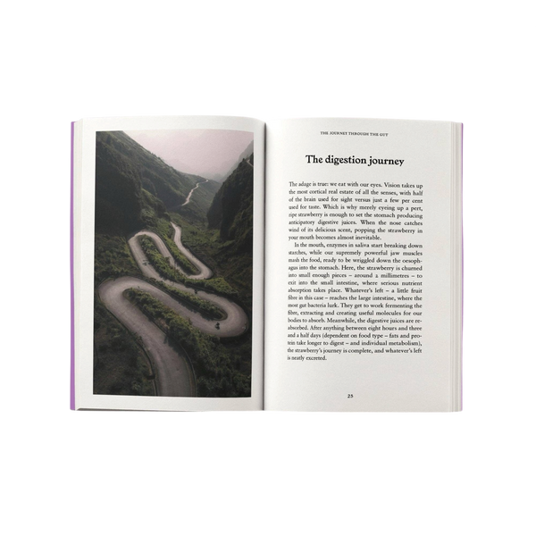'The Gut: A Pocket Primer' Book