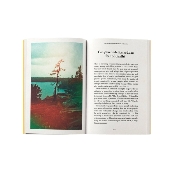 'Psychedelics: A Pocket Primer' Book