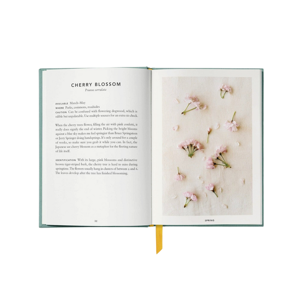 'The Urban Forager: Find and Cook Wild Food in the City' Book