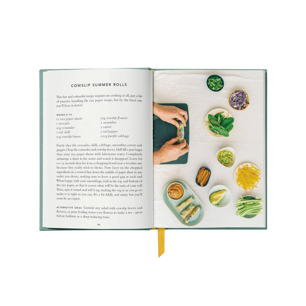 'The Urban Forager: Find and Cook Wild Food in the City' Book