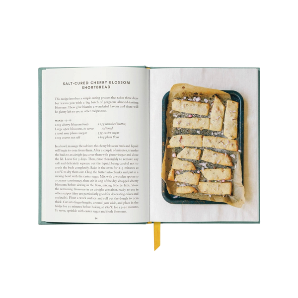 'The Urban Forager: Find and Cook Wild Food in the City' Book