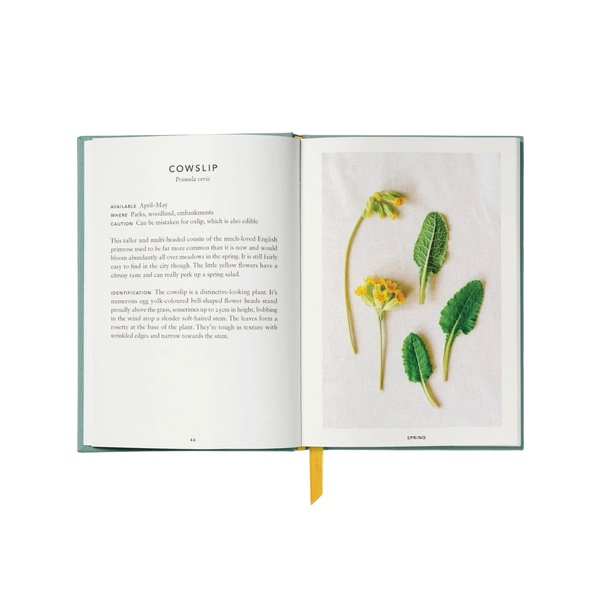 'The Urban Forager: Find and Cook Wild Food in the City' Book