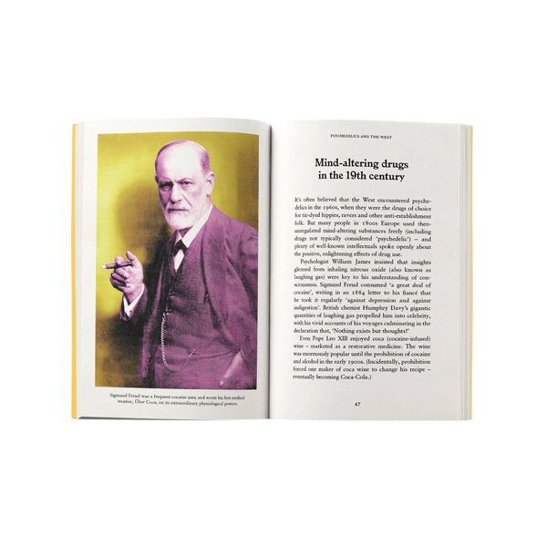 'Psychedelics: A Pocket Primer' Book