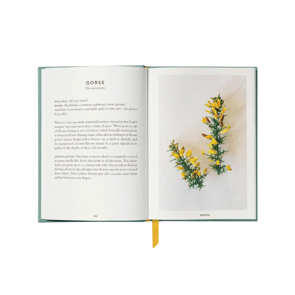 'The Urban Forager: Find and Cook Wild Food in the City' Book