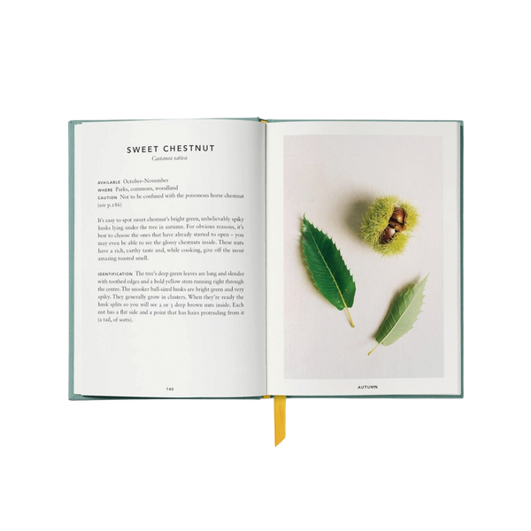 'The Urban Forager: Find and Cook Wild Food in the City' Book