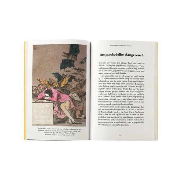 'Psychedelics: A Pocket Primer' Book