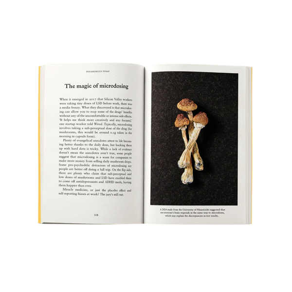 'Psychedelics: A Pocket Primer' Book