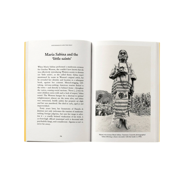 'Psychedelics: A Pocket Primer' Book