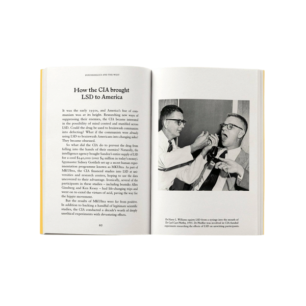'Psychedelics: A Pocket Primer' Book