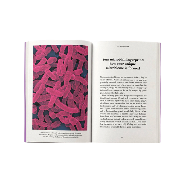 'The Gut: A Pocket Primer' Book