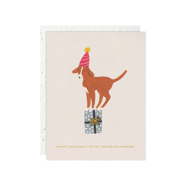 Birthday Dog Birthday Card