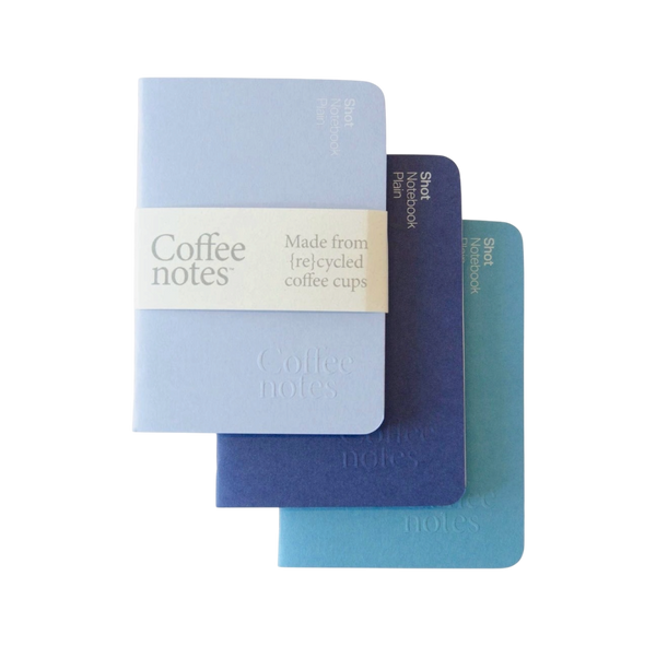 Set Of 3 The Blues Mini Notebooks